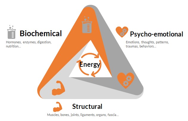 Kinesiology triangle of health